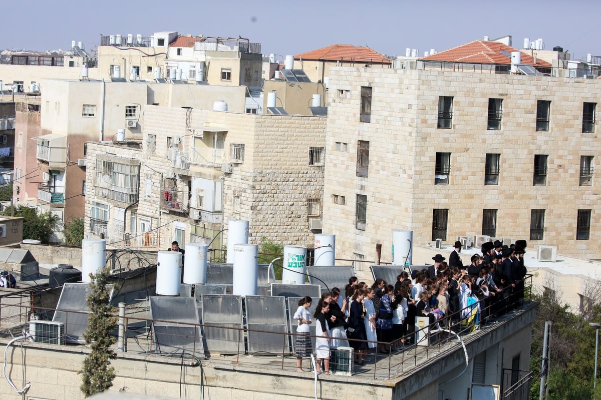 אלפי חסידים בחופת נכד האדמו"ר מגור. צפו