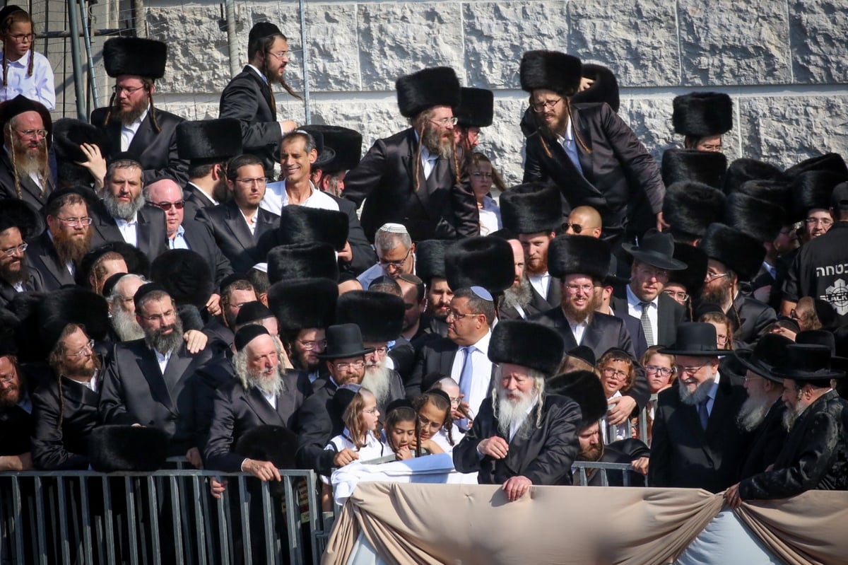 אלפי חסידים בחופת נכד האדמו"ר מגור. צפו