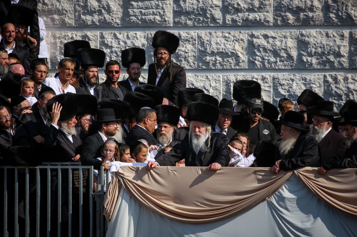 אלפי חסידים בחופת נכד האדמו"ר מגור. צפו