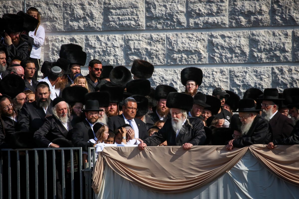 אלפי חסידים בחופת נכד האדמו"ר מגור. צפו