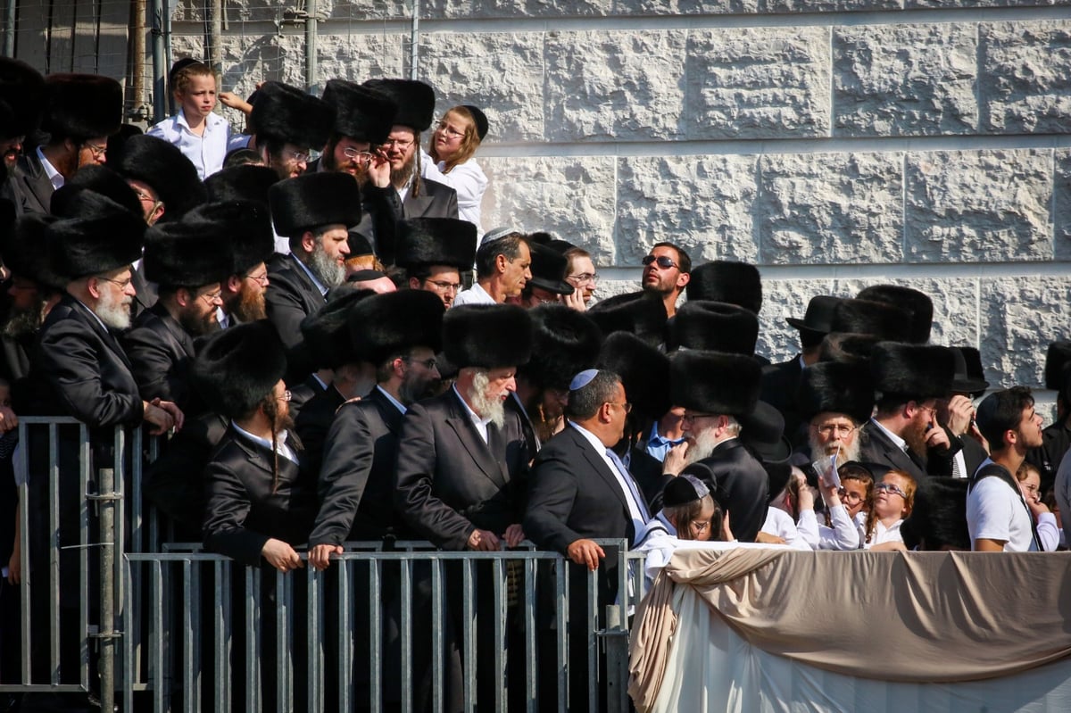 אלפי חסידים בחופת נכד האדמו"ר מגור. צפו