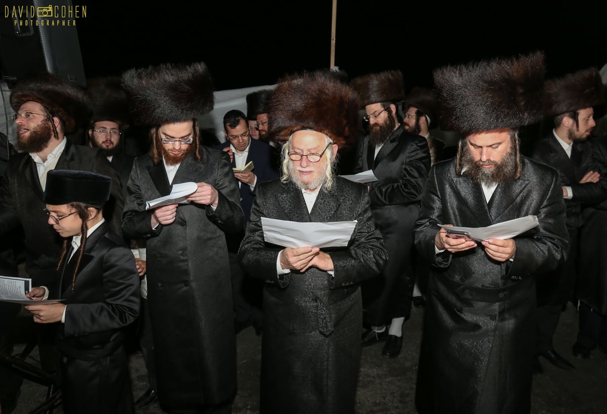 צפו בווידאו: ר' מיילך בידרמן הקפיץ את מירון