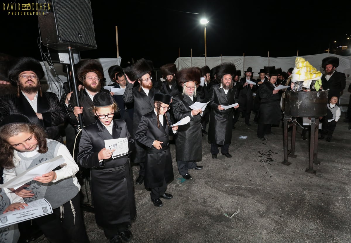 צפו בווידאו: ר' מיילך בידרמן הקפיץ את מירון