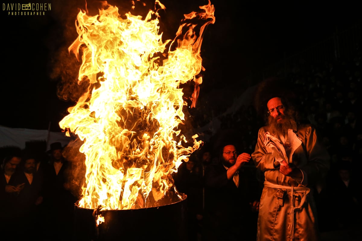 צפו בווידאו: ר' מיילך בידרמן הקפיץ את מירון