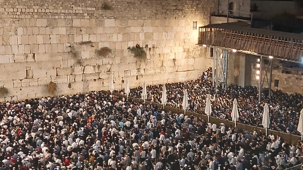 מרגש: רבבות באמירת סליחות בכותל המערבי • צפו