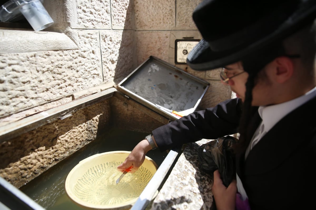 סגולת הסכינים לפרנסה - במאה שערים. צפו