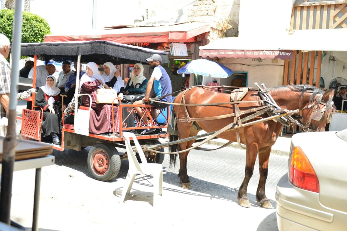 סיור בעכו העתיקה דרך עדשת המצלמה