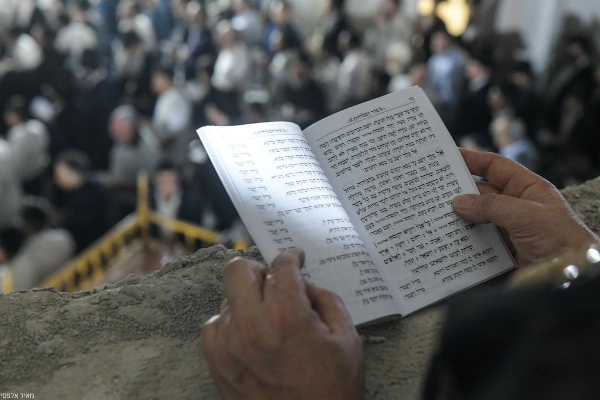 תיעוד: מעמד הסליחות בראשות הראשון לציון הגר"ש עמאר