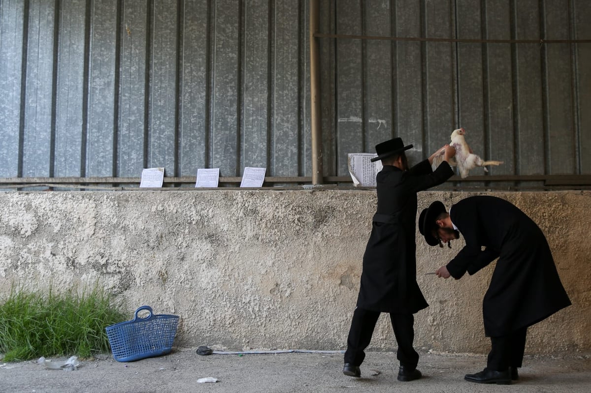 צפו: הירושלמים ערכו 'כפרות' על תרנגולים