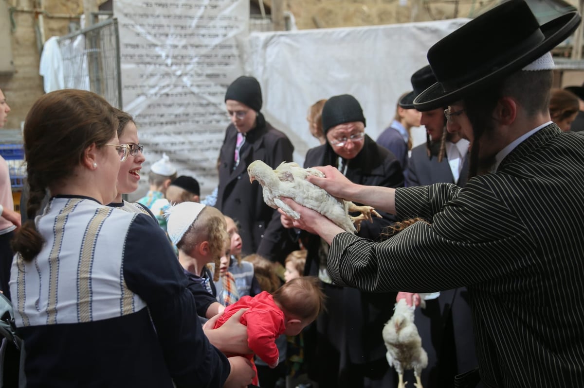 צפו: הירושלמים ערכו 'כפרות' על תרנגולים