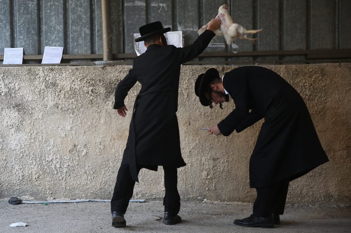 צפו: הירושלמים ערכו 'כפרות' על תרנגולים