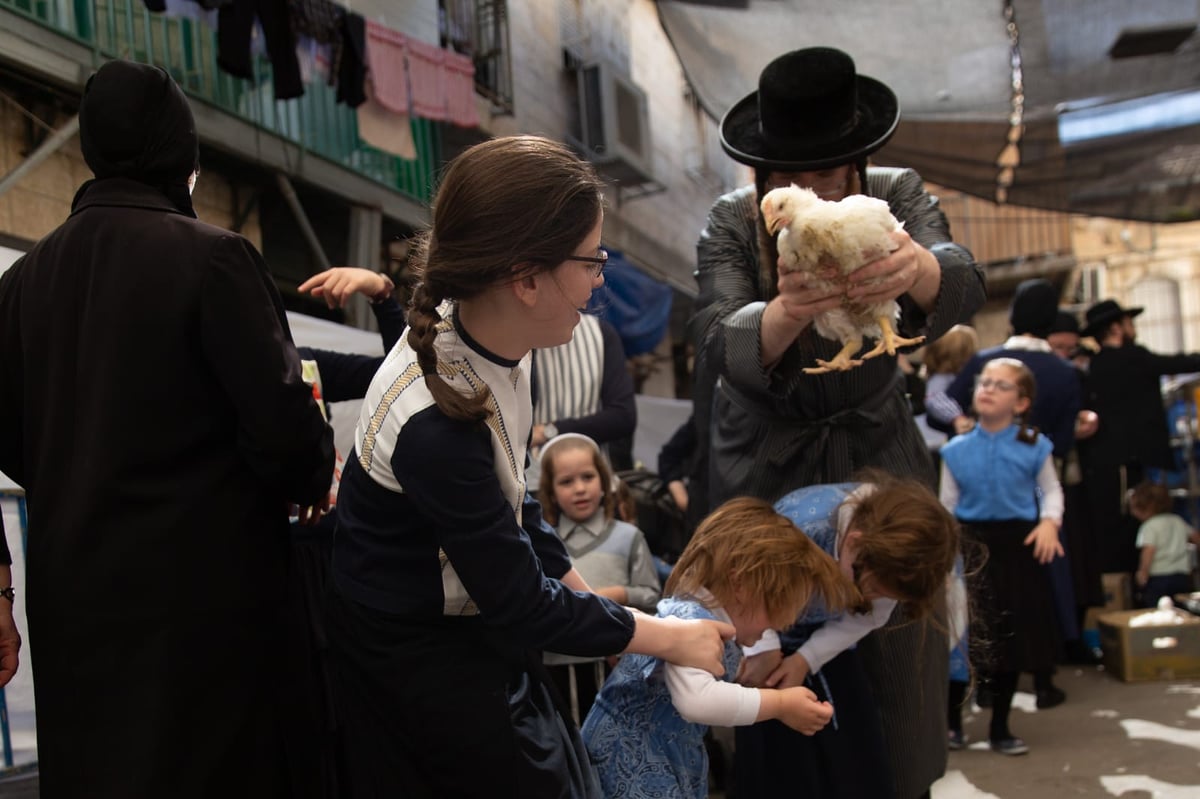 צפו: הירושלמים ערכו 'כפרות' על תרנגולים