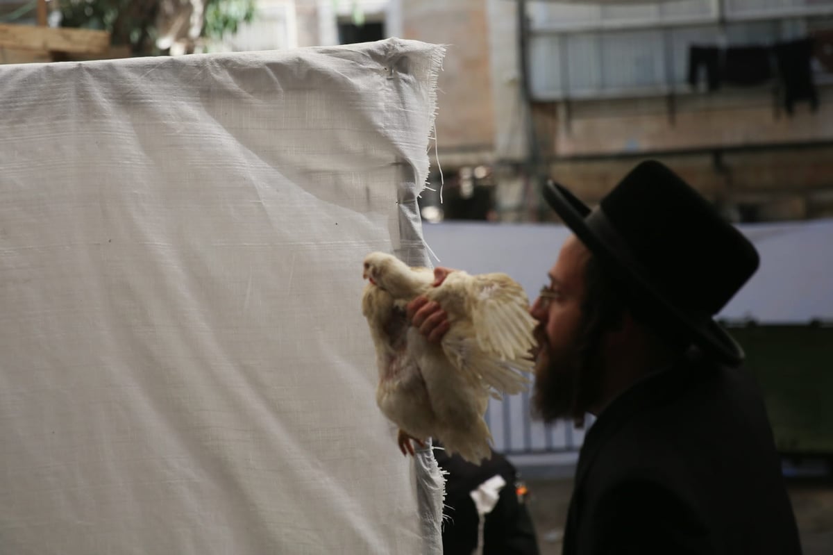 צפו: הירושלמים ערכו 'כפרות' על תרנגולים