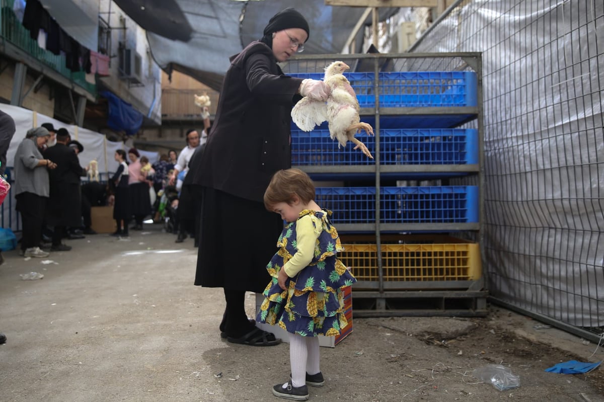 צפו: הירושלמים ערכו 'כפרות' על תרנגולים