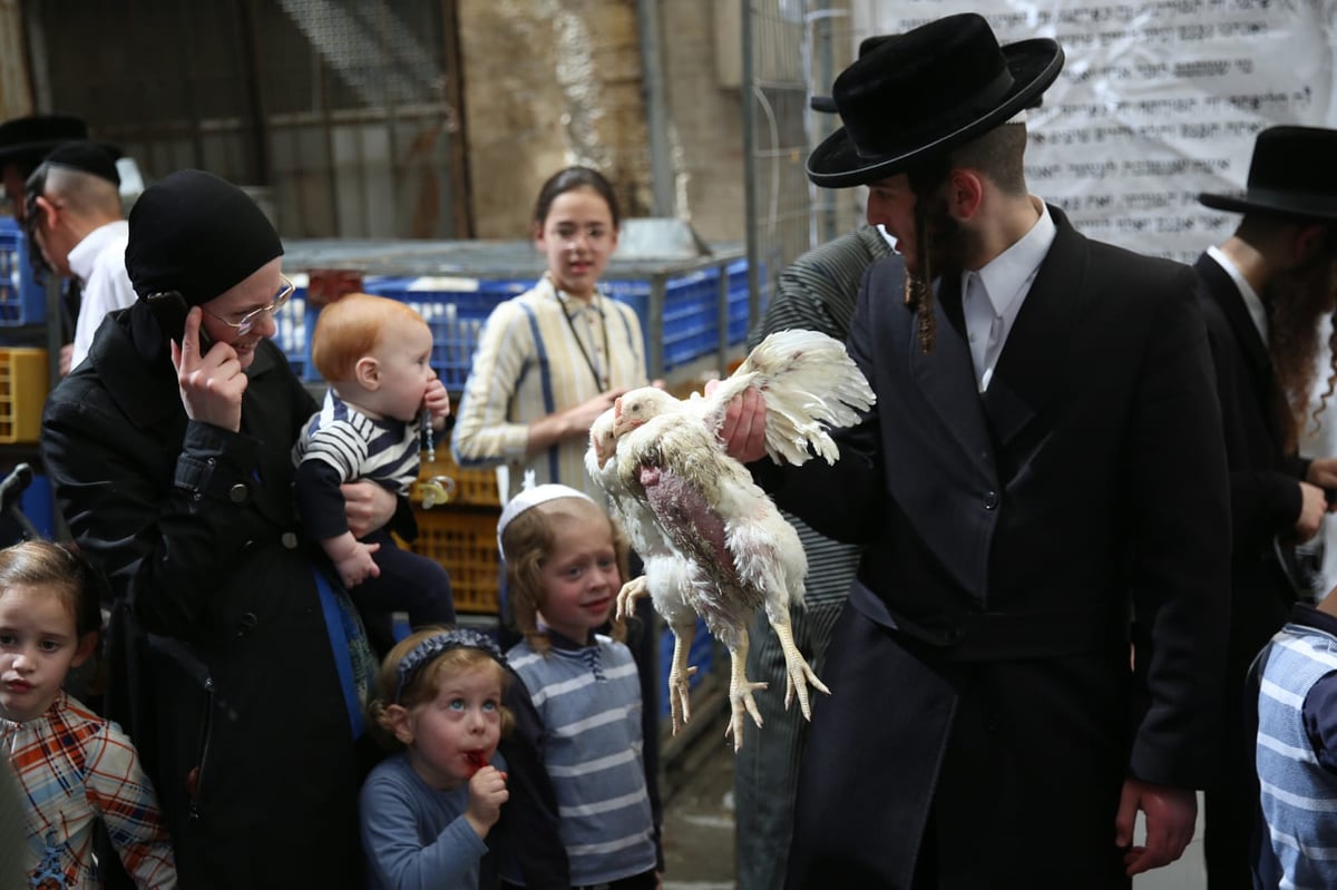 צפו: הירושלמים ערכו 'כפרות' על תרנגולים