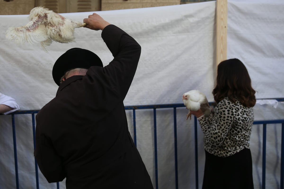 צפו: הירושלמים ערכו 'כפרות' על תרנגולים