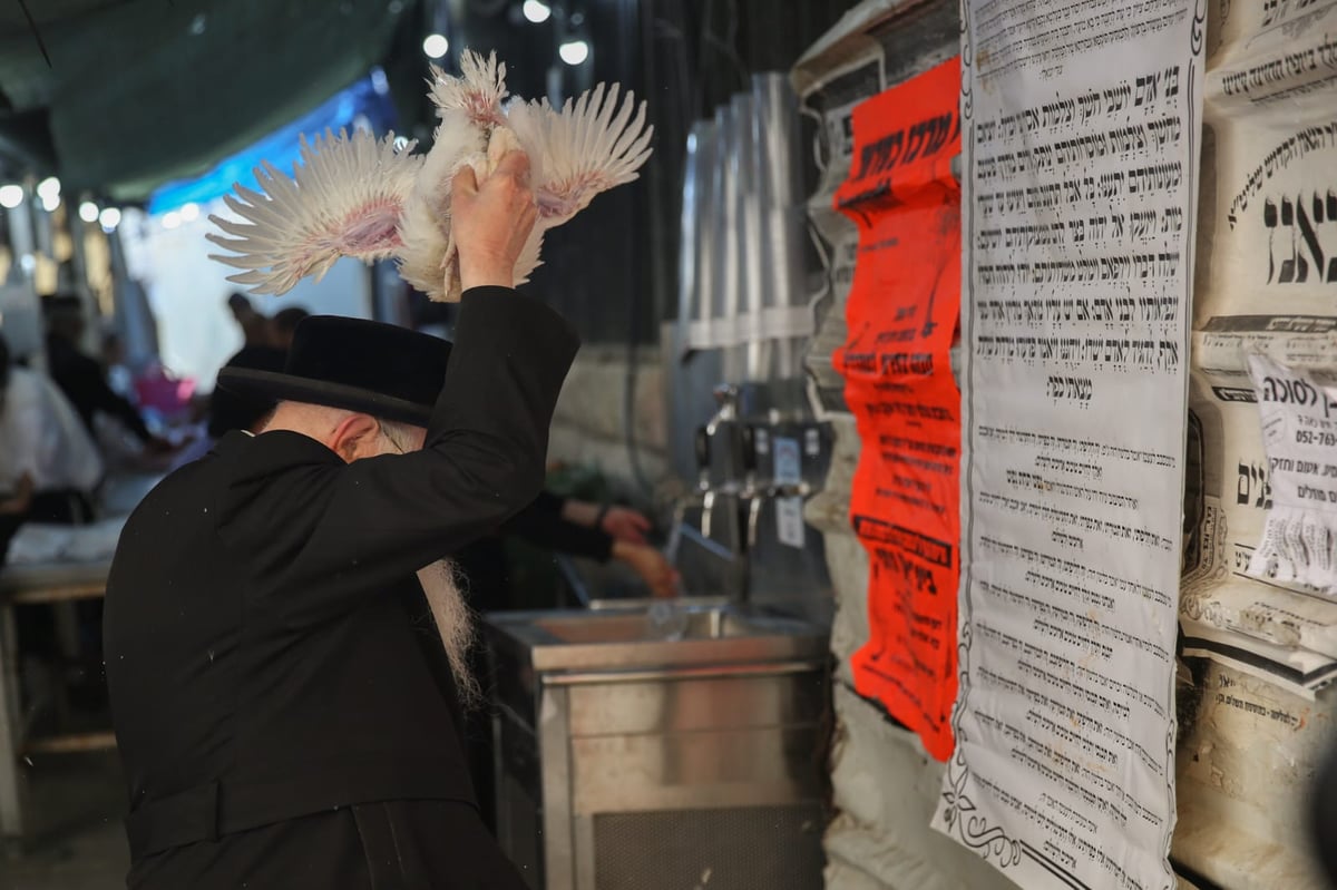 צפו: הירושלמים ערכו 'כפרות' על תרנגולים