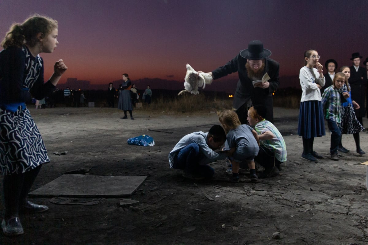 כפרות בשקיעה: גלריה מרהיבה מבית שמש