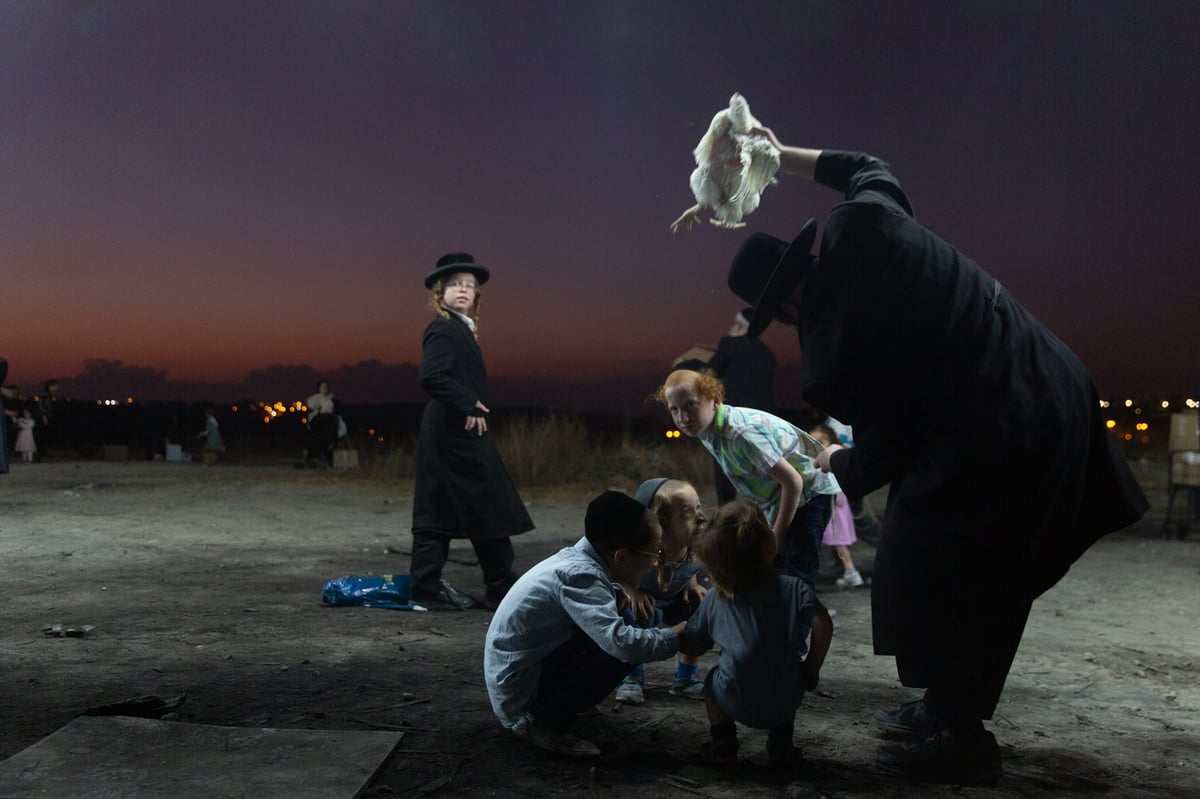 כפרות בשקיעה: גלריה מרהיבה מבית שמש