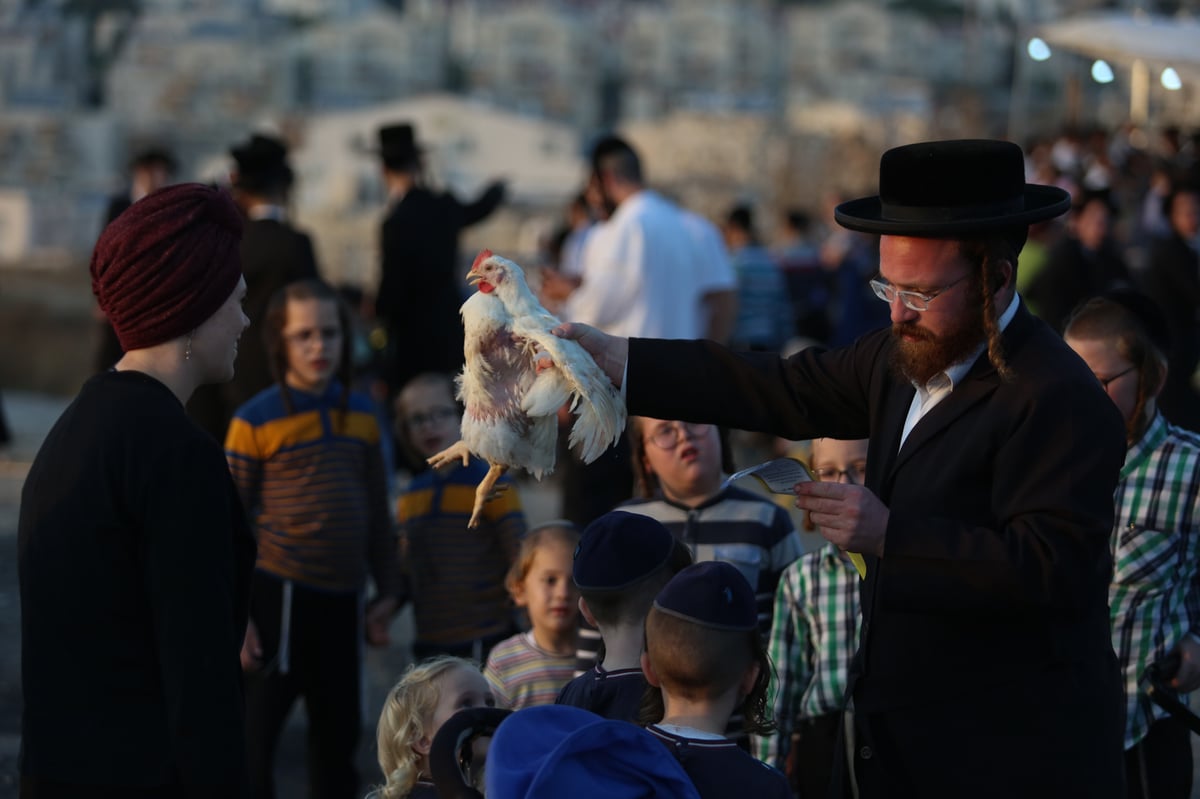 כפרות בשקיעה: גלריה מרהיבה מבית שמש