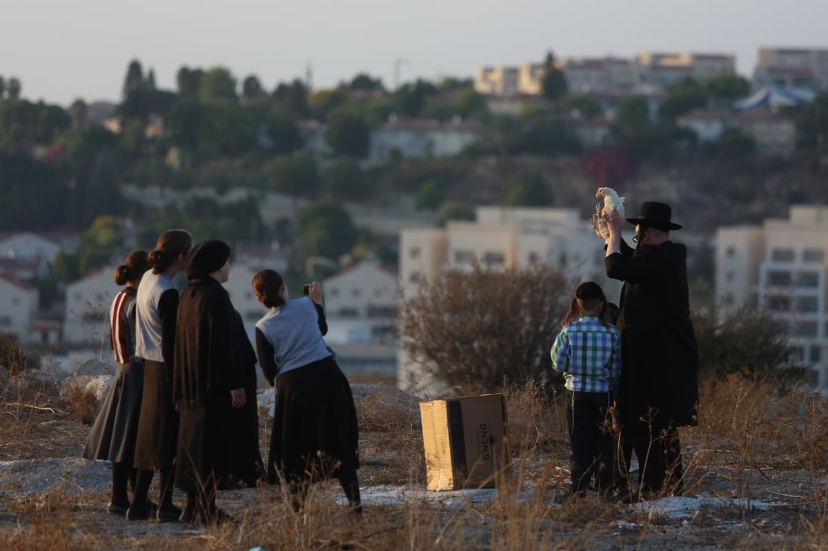 כפרות בשקיעה: גלריה מרהיבה מבית שמש