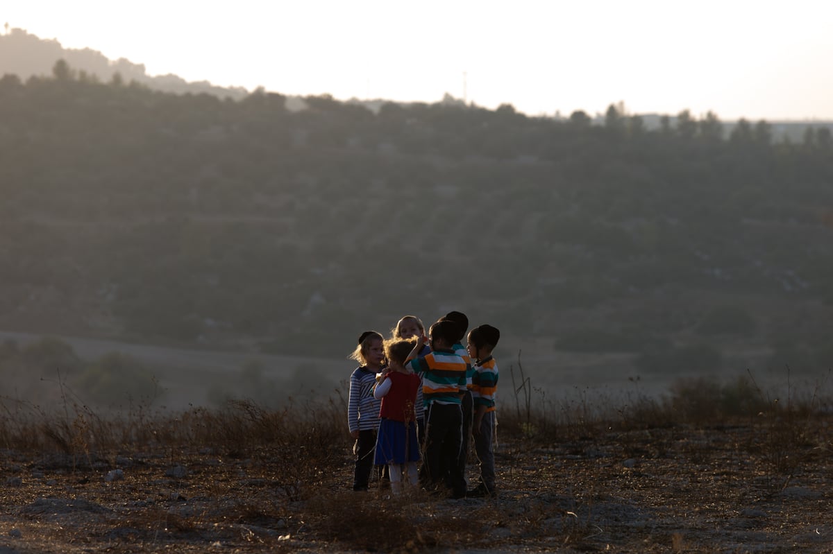 כפרות בשקיעה: גלריה מרהיבה מבית שמש