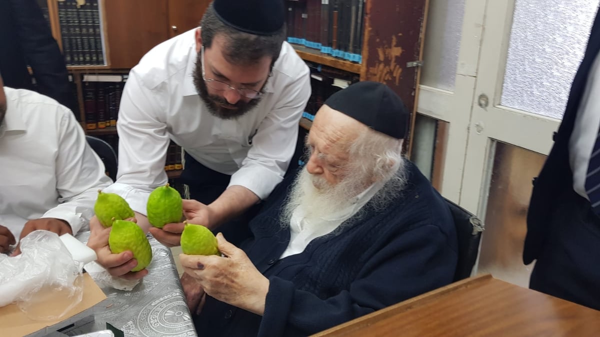 מרוקאי ברשב"ם: מרן שר התורה בוחר אתרוג