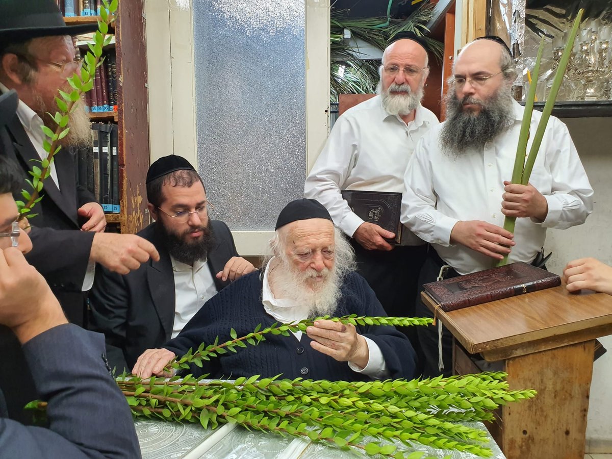 כך מרן שר התורה בוחר את ארבעת המינים • צפו