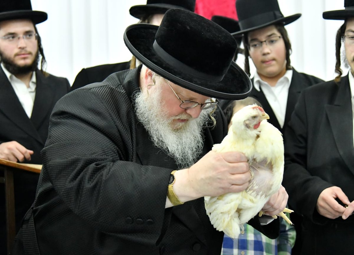 האדמו"ר מסאסוב במעמד 'כפרות' ושחיטה