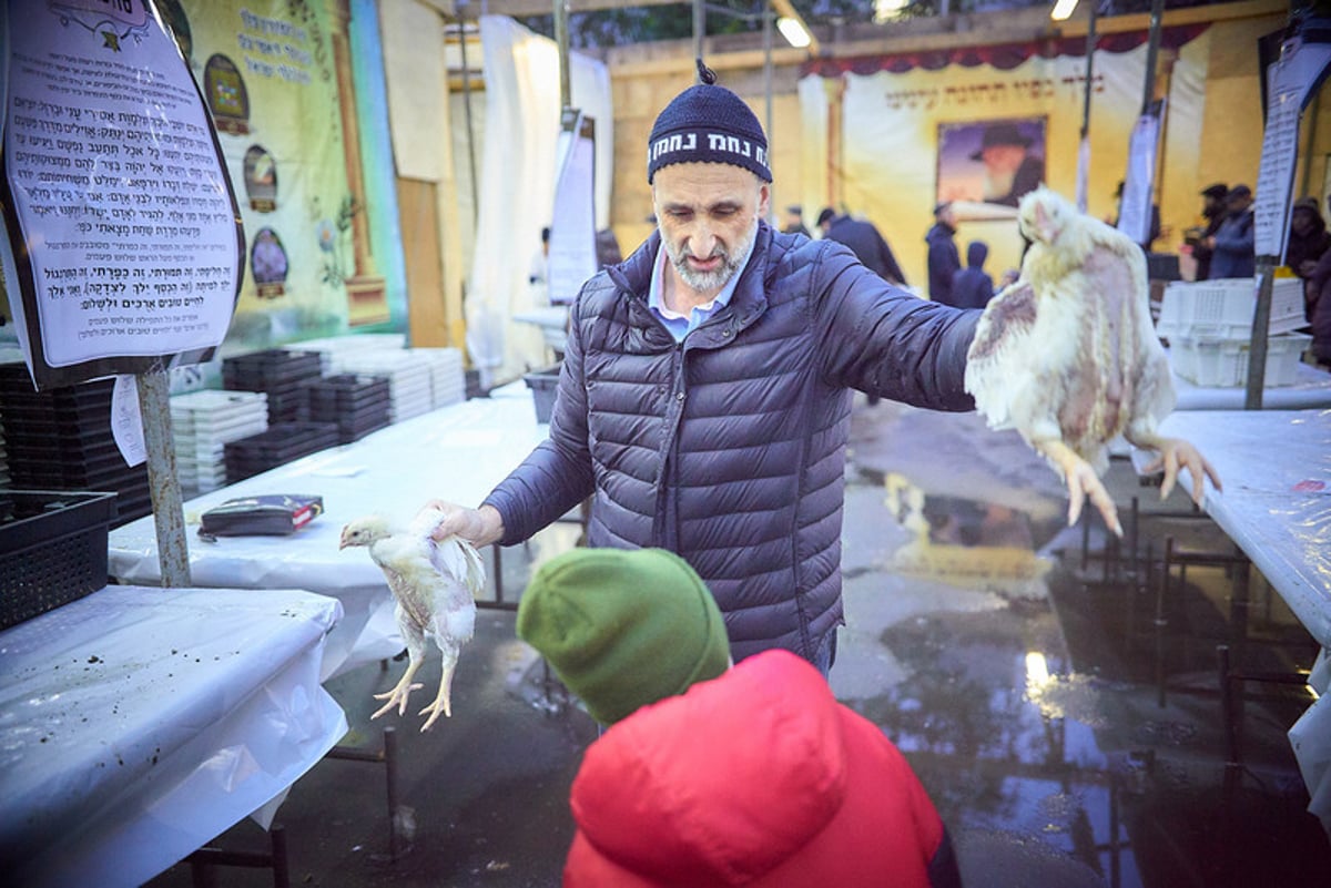 היום הקדוש במרכז מוסקבה • תיעוד מסכם