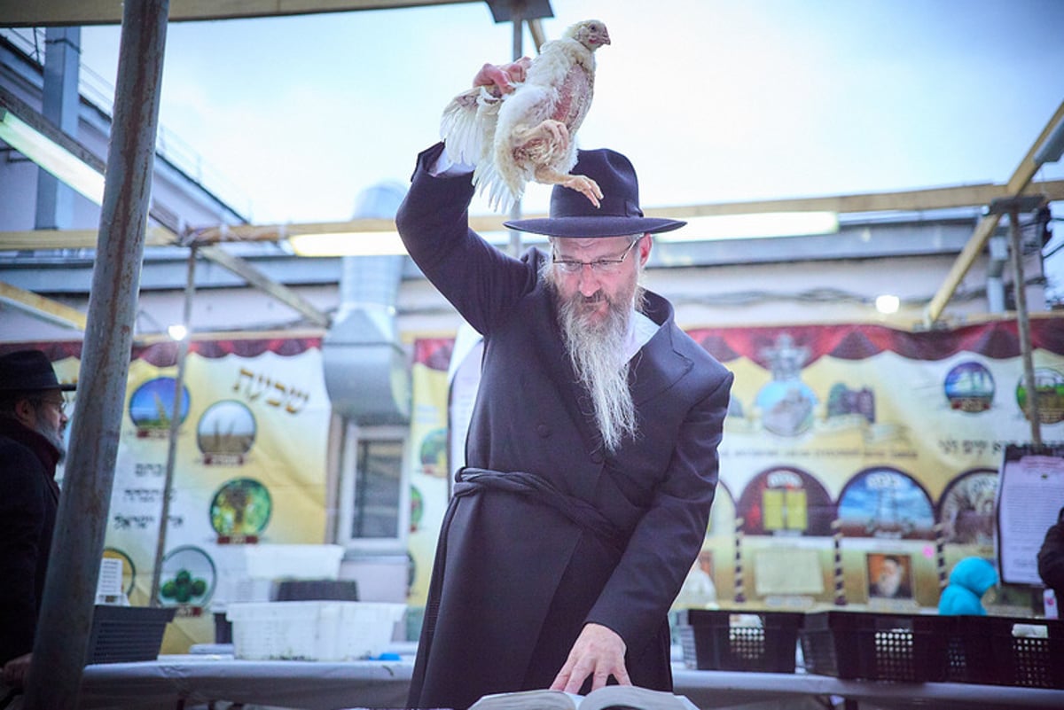 היום הקדוש במרכז מוסקבה • תיעוד מסכם