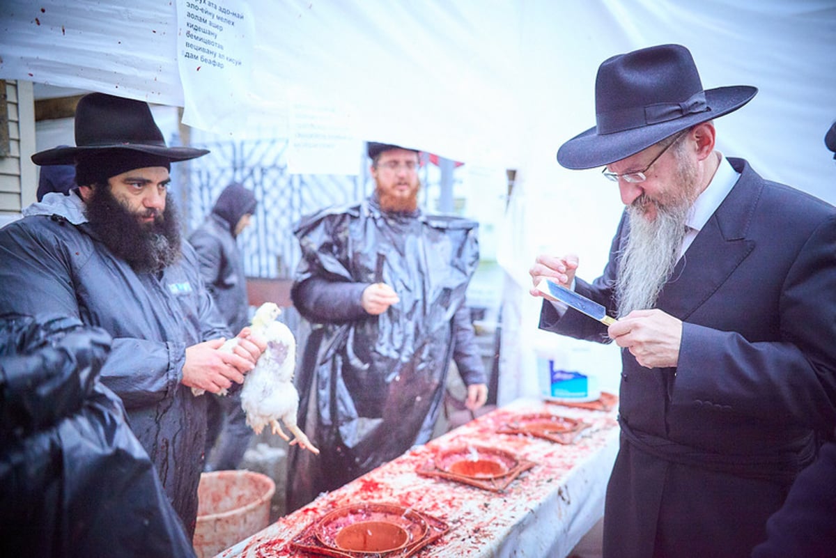 היום הקדוש במרכז מוסקבה • תיעוד מסכם