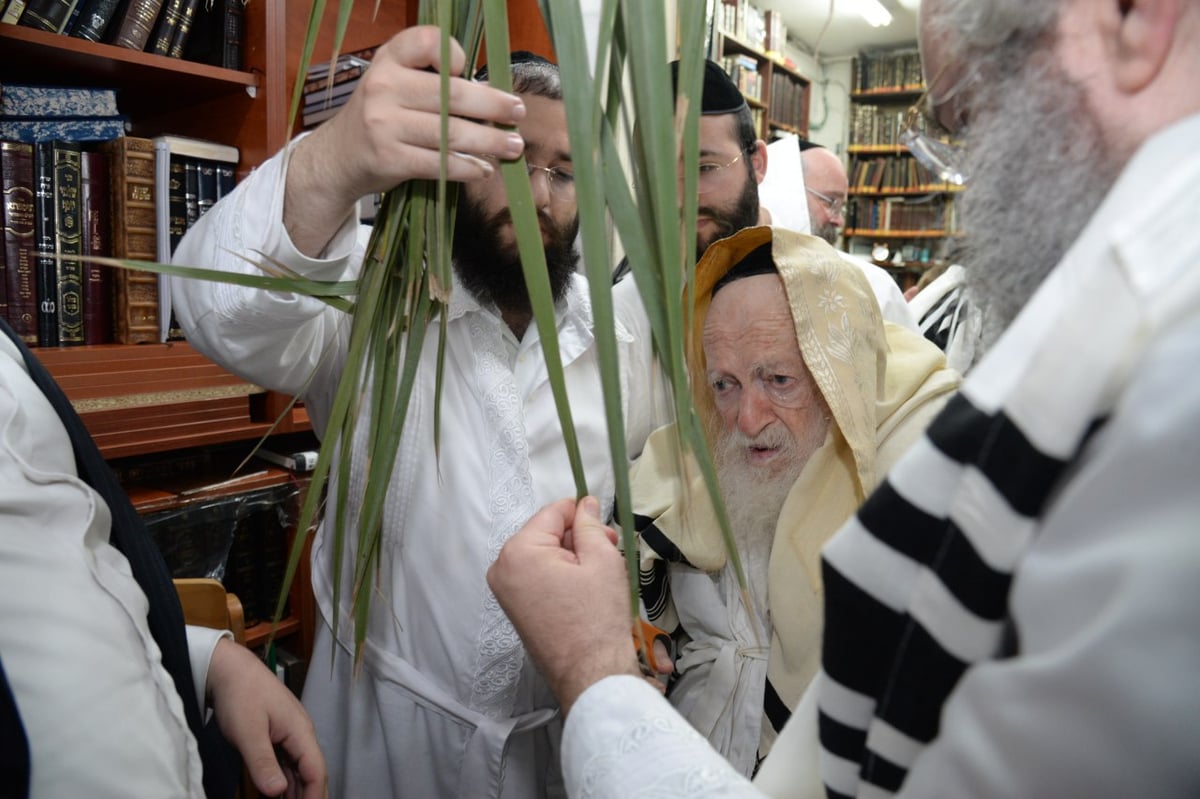 לאחר ההבדלה: מרן שר התורה סייע בבניית הסוכה