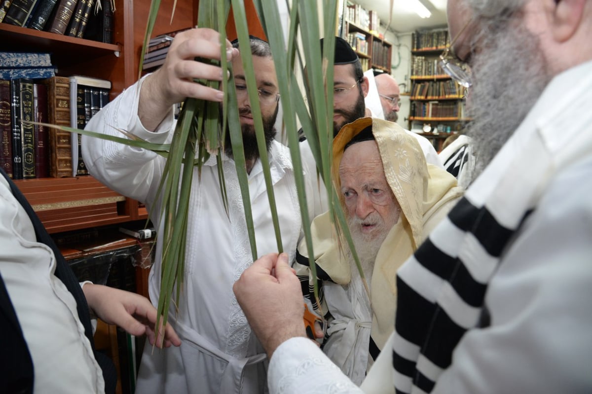 לאחר ההבדלה: מרן שר התורה סייע בבניית הסוכה