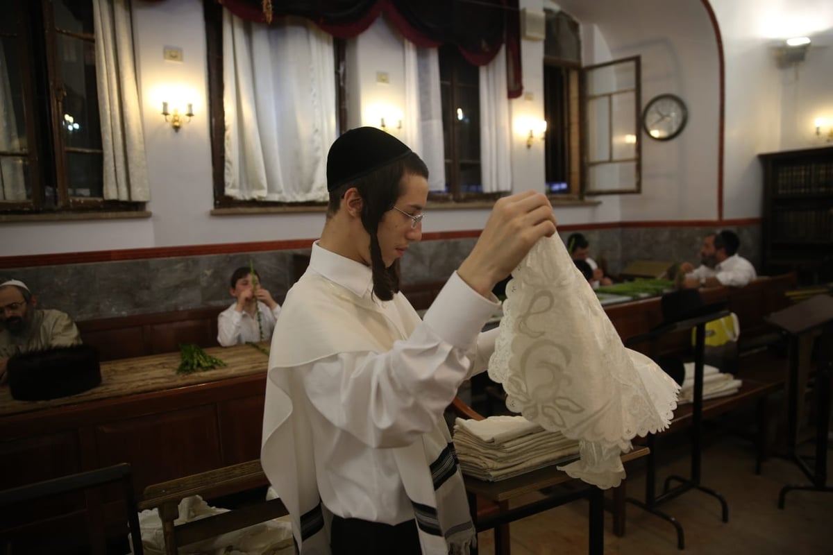 ד' מינים וסוכות: מוצאי כיפור - במאה שערים