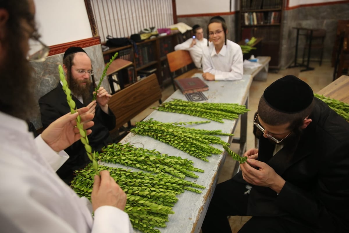 ד' מינים וסוכות: מוצאי כיפור - במאה שערים