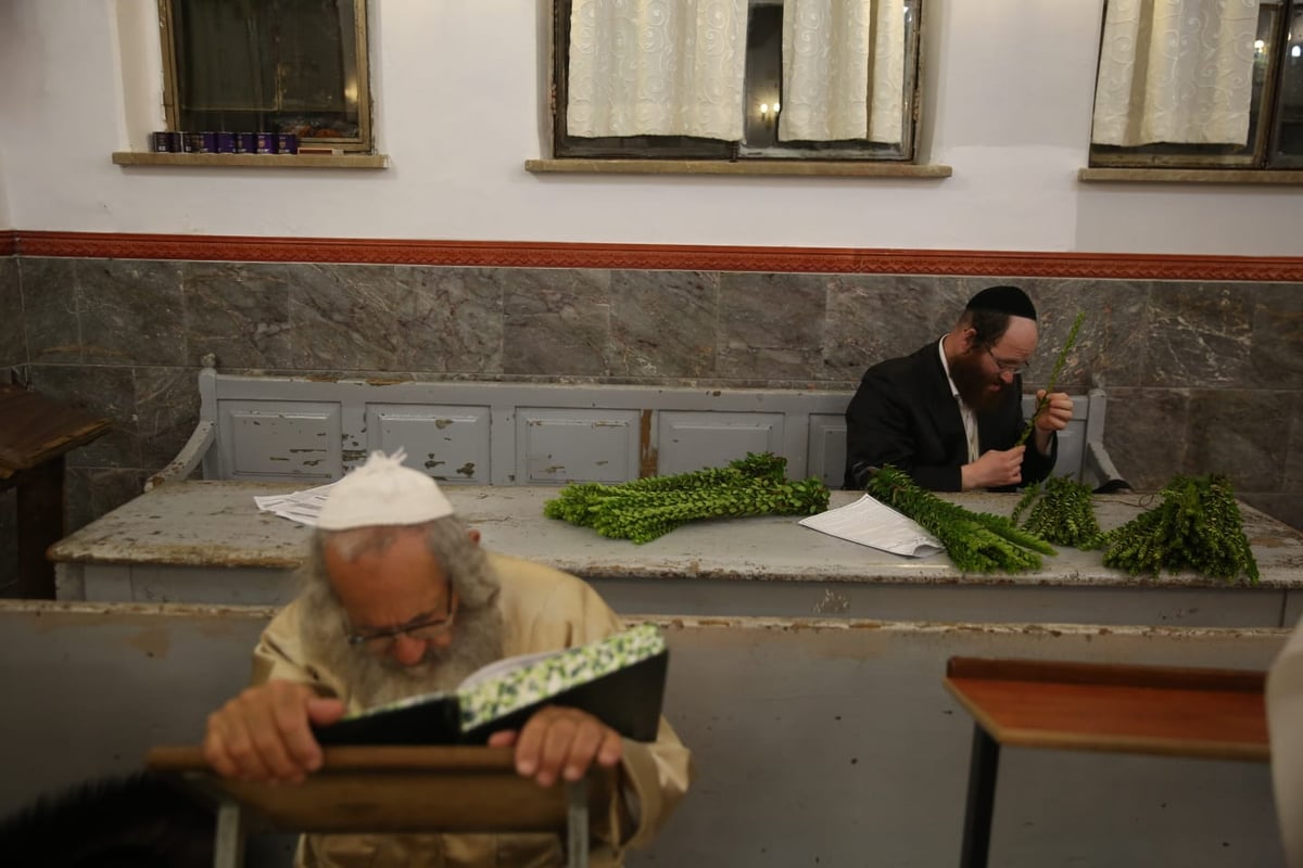 ד' מינים וסוכות: מוצאי כיפור - במאה שערים