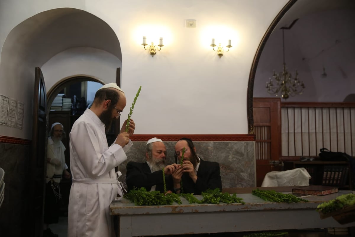 ד' מינים וסוכות: מוצאי כיפור - במאה שערים