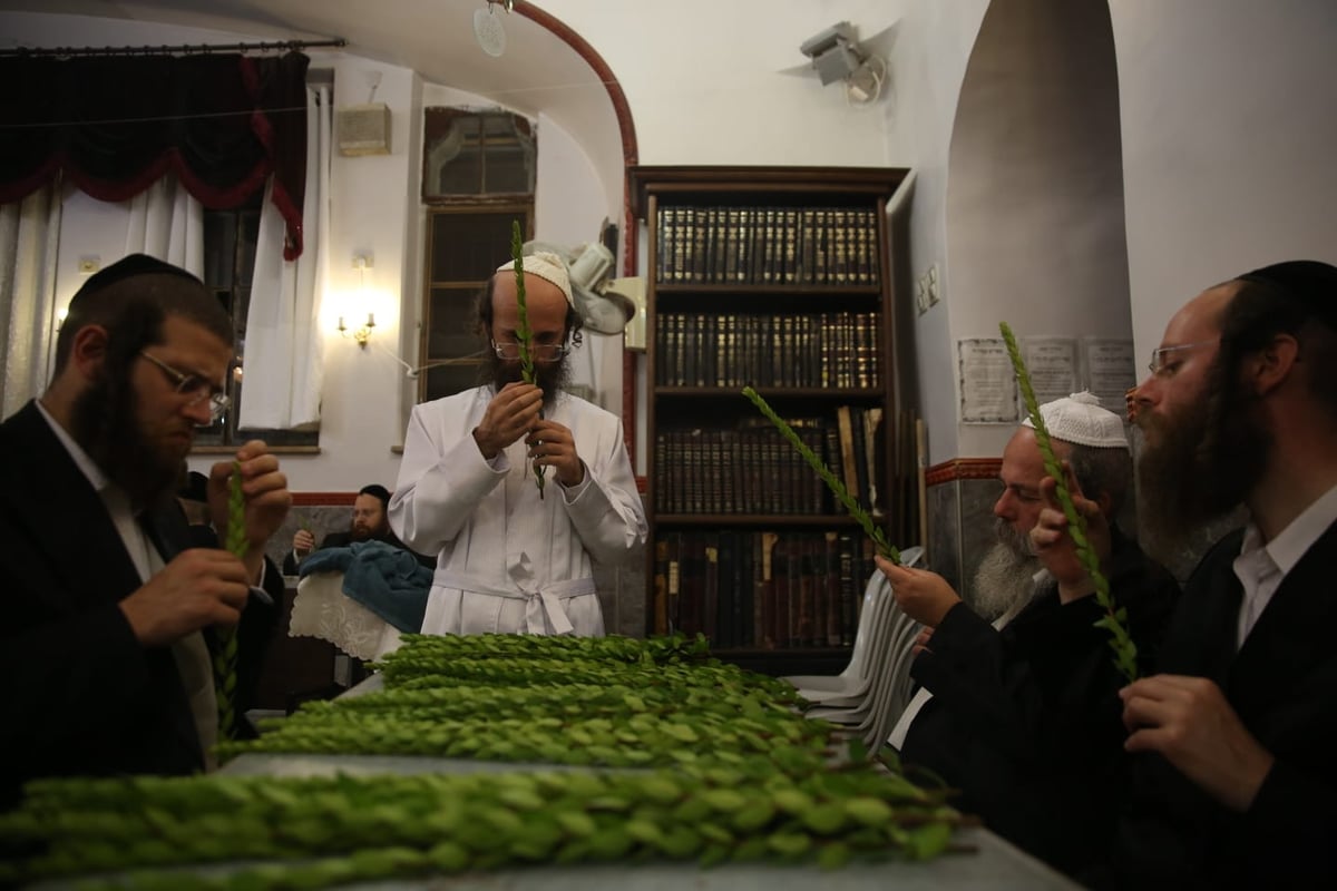 ד' מינים וסוכות: מוצאי כיפור - במאה שערים