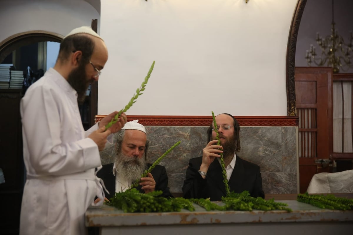 ד' מינים וסוכות: מוצאי כיפור - במאה שערים