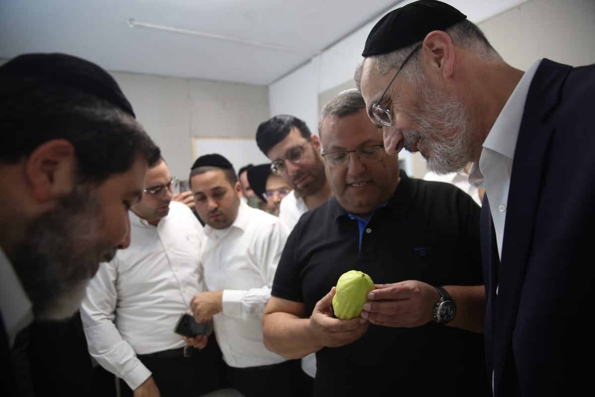 משה ליאון בחר אתרוג אצל הרב אופיר מלכה