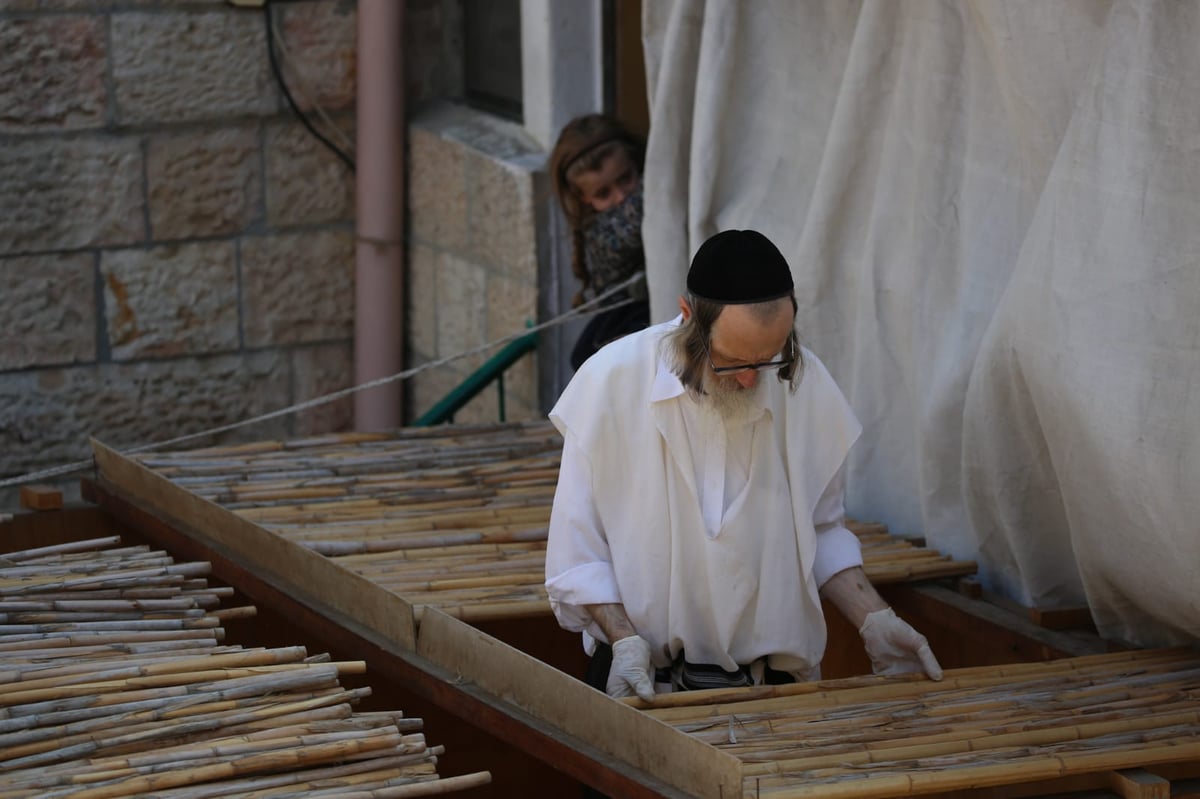 ערב סוכות, ירושלים; 10 תמונות שמספרות את כל הסיפור