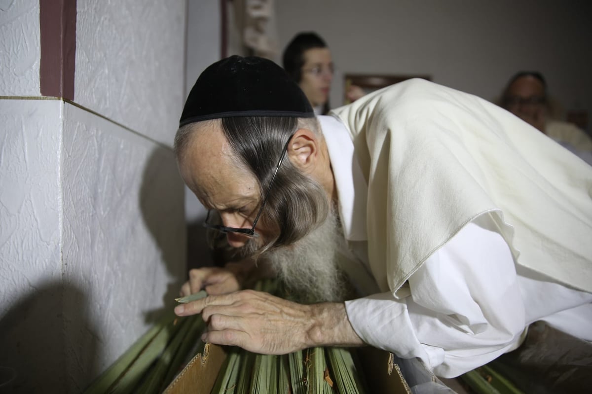 ערב סוכות, ירושלים; 10 תמונות שמספרות את כל הסיפור