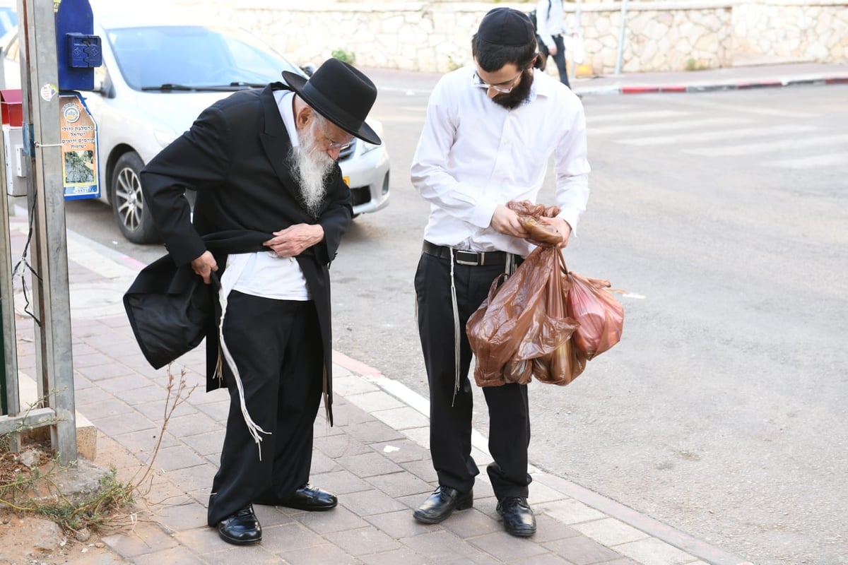 צפו: מהאתרוג עד ההבדלה; חג ראשון אצל הגאון רבי מאיר גריינמן