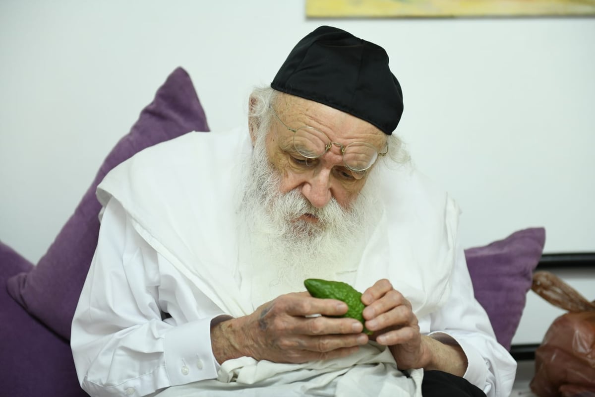 צפו: מהאתרוג עד ההבדלה; חג ראשון אצל הגאון רבי מאיר גריינמן