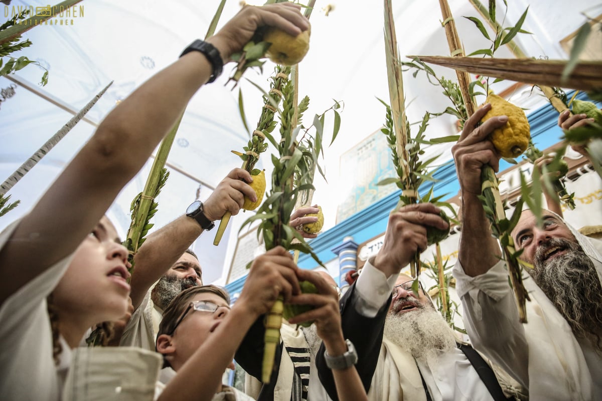 צפו: תפילה מיוחדת עם הרב שמואל אליהו בבית כנסת 'אבוהב' בצפת