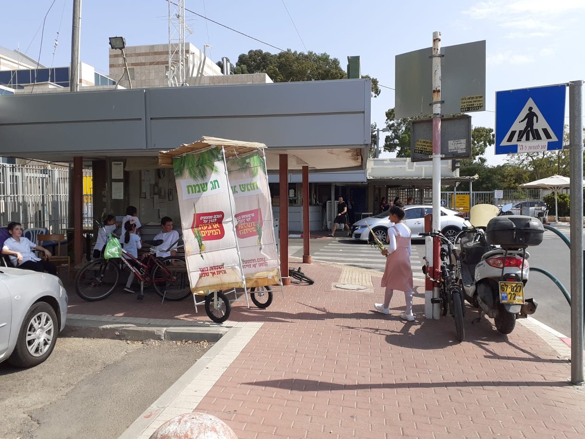 גם החיילים בירכו: "מבצע לולב" של חב"ד