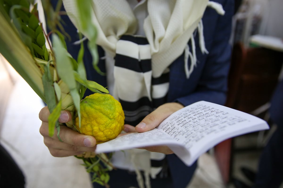 ה'הלל' של רש"י: בשירה ובריקודים • תיעוד