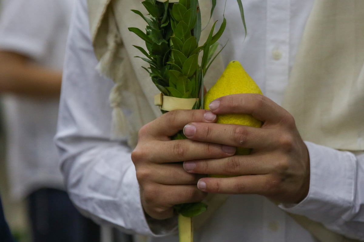 ה'הלל' של רש"י: בשירה ובריקודים • תיעוד