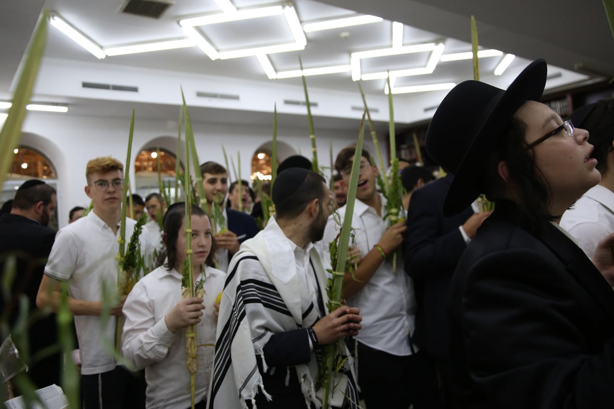 ה'הלל' של רש"י: בשירה ובריקודים • תיעוד